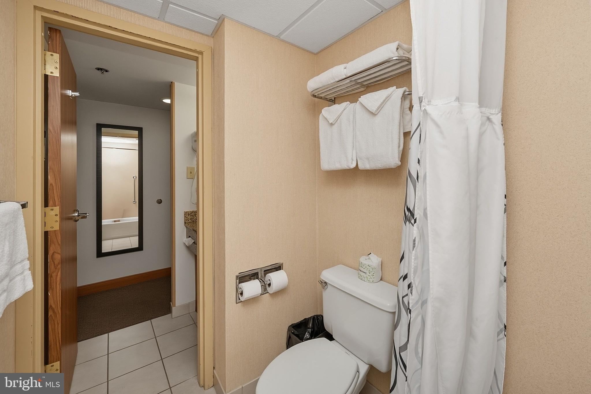 290 Marsh Hill Road, Unit 706 McHenry, MD 21541 - Photo 13 of 39