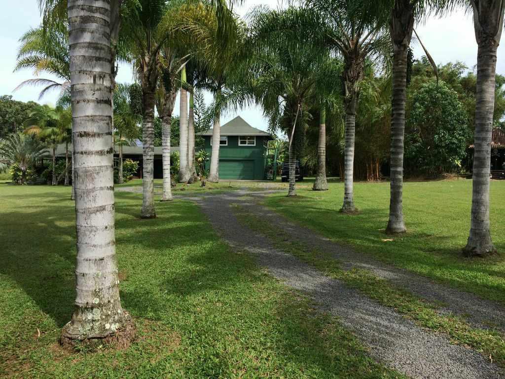851 Peahi Road Haiku, HI 96708 - Photo 1 of 30 a view of a park with a tree