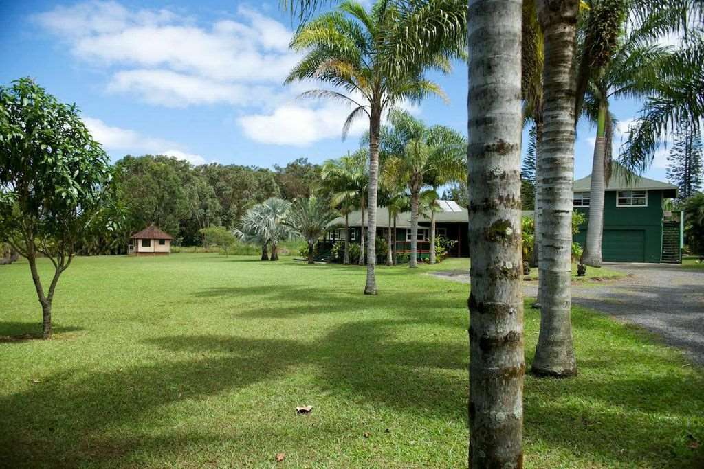 851 Peahi Road Haiku, HI 96708 - Photo 15 of 30 a view of a park with palm trees