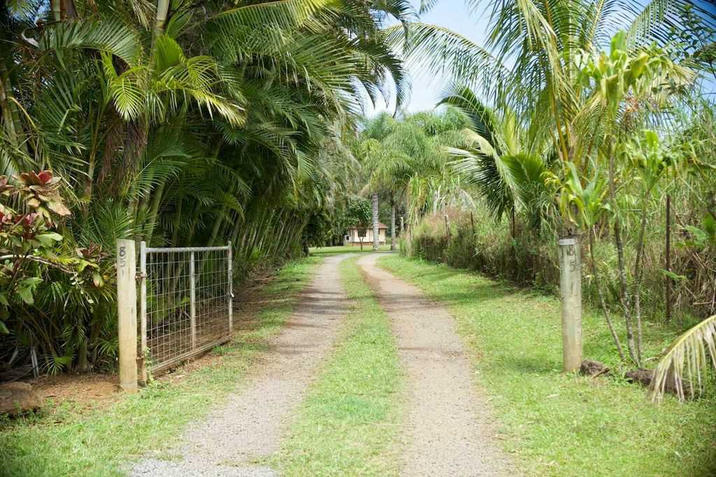 851 Peahi Road Haiku, HI 96708 - Photo 30 of 30 a view of a backyard