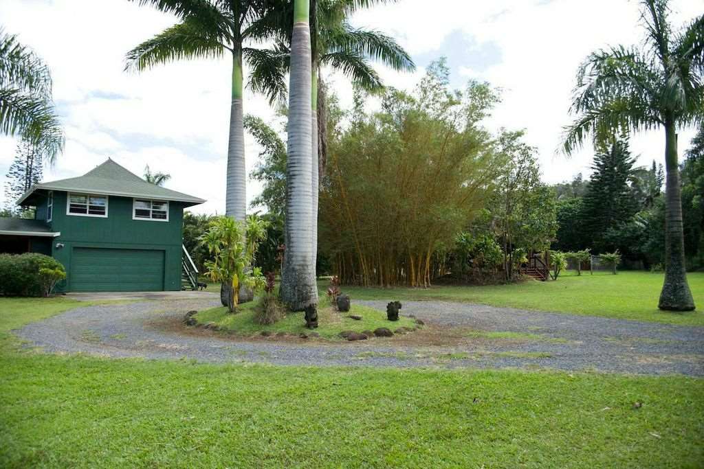 851 Peahi Road Haiku, HI 96708 - Photo 10 of 30 a view of a backyard with a garden and palm trees