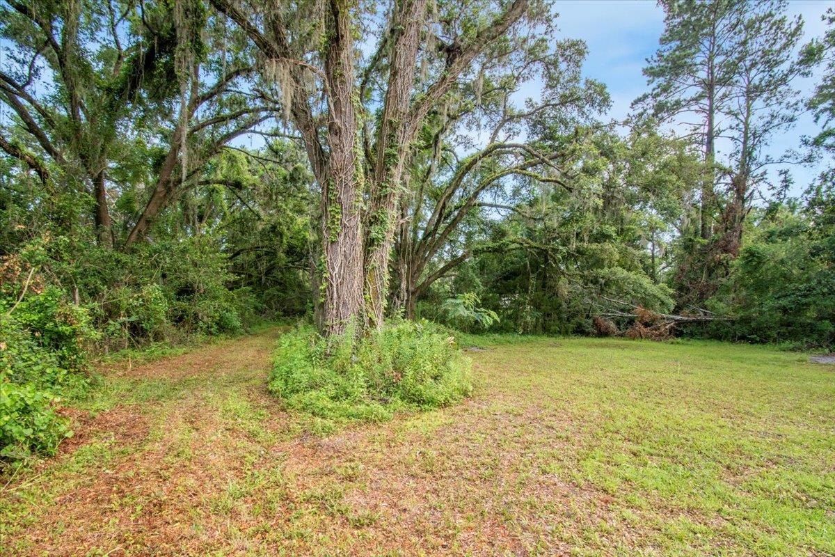 3125 Slaughter Road Perry, FL 32347 - Photo 12 of 38