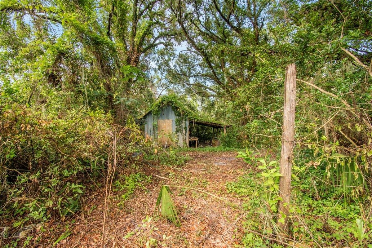 3125 Slaughter Road Perry, FL 32347 - Photo 13 of 38