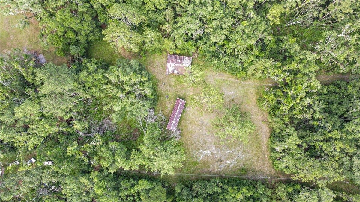 3125 Slaughter Road Perry, FL 32347 - Photo 32 of 38