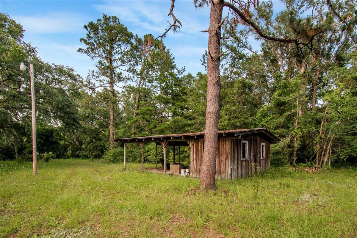 3125 Slaughter Road Perry, FL 32347 - Photo 4 of 38