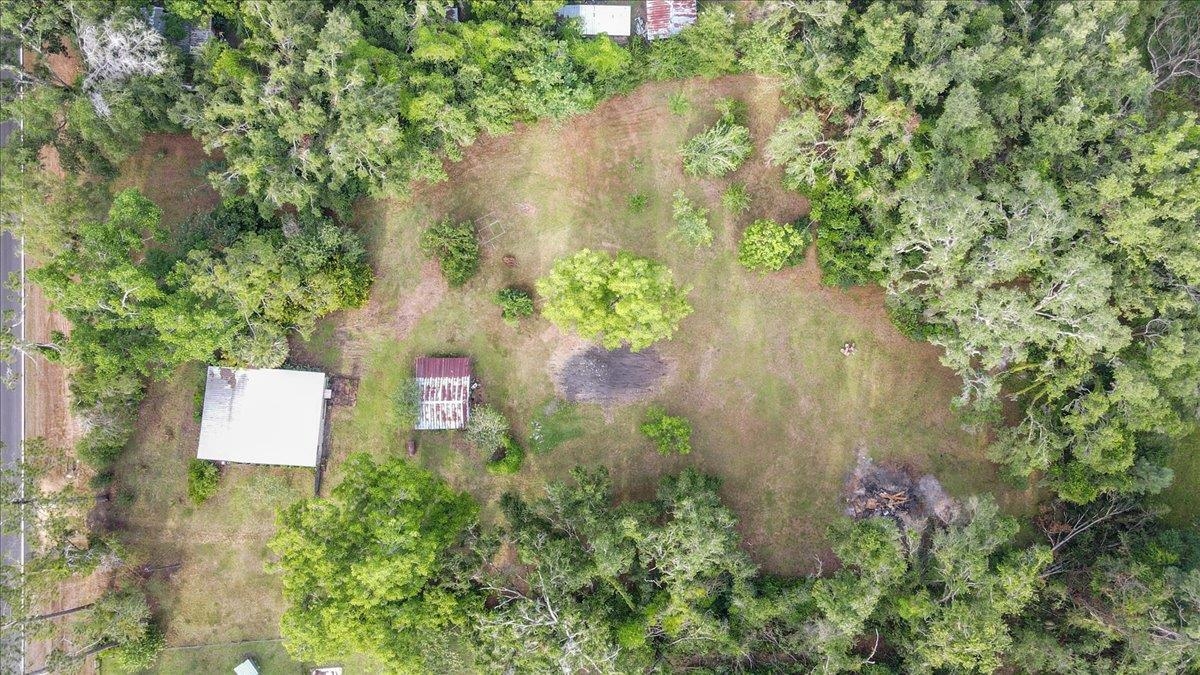 3125 Slaughter Road Perry, FL 32347 - Photo 7 of 38