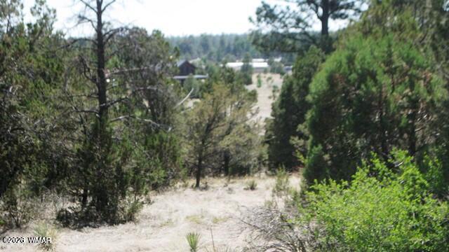 Undisclosed Address Overgaard, AZ 85933 - Photo 3 of 4 2223 Fairway 3