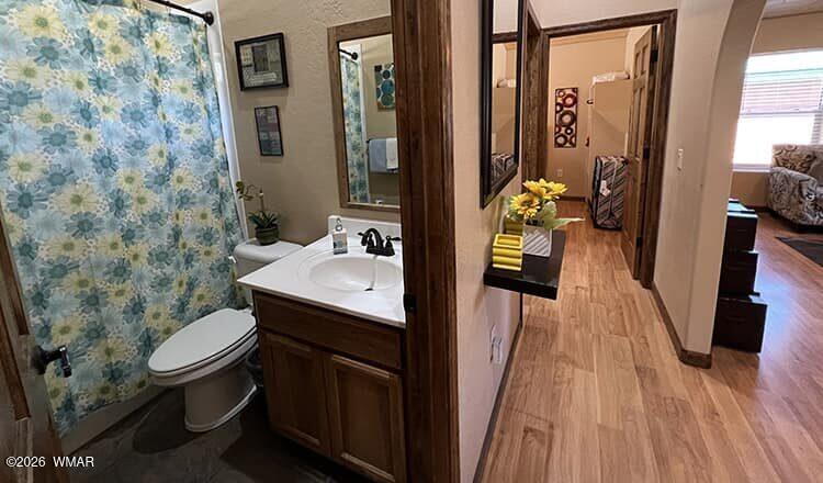 94 Main Street Greer, AZ 85927 - Photo 9 of 10 a bathroom with a sink toilet and a mirror