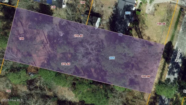 $65,000 | 205 Nancy Drive, Dudley, NC 28333