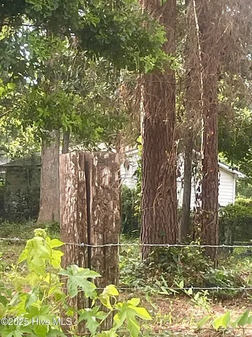 $65,000 | 205 Nancy Drive, Dudley, NC 28333