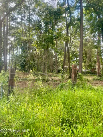 $65,000 | 205 Nancy Drive, Dudley, NC 28333