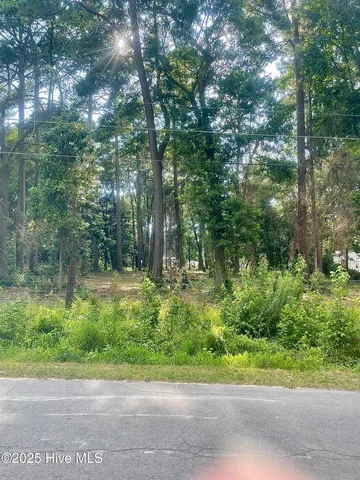 $65,000 | 205 Nancy Drive, Dudley, NC 28333