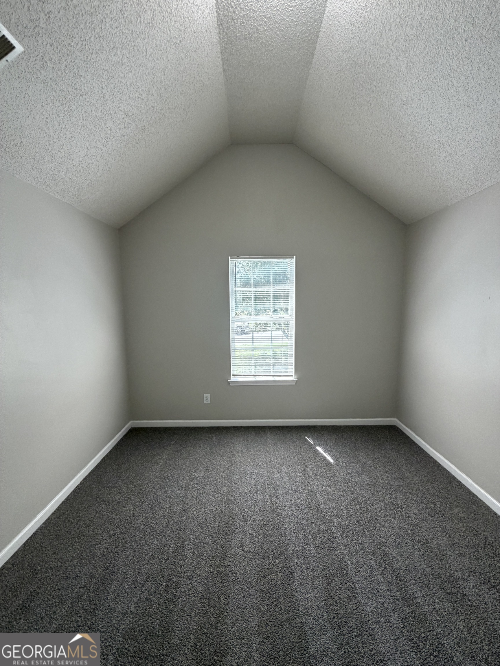 10744 Misty Meadows Court Hampton, GA 30228 - Photo 13 of 22