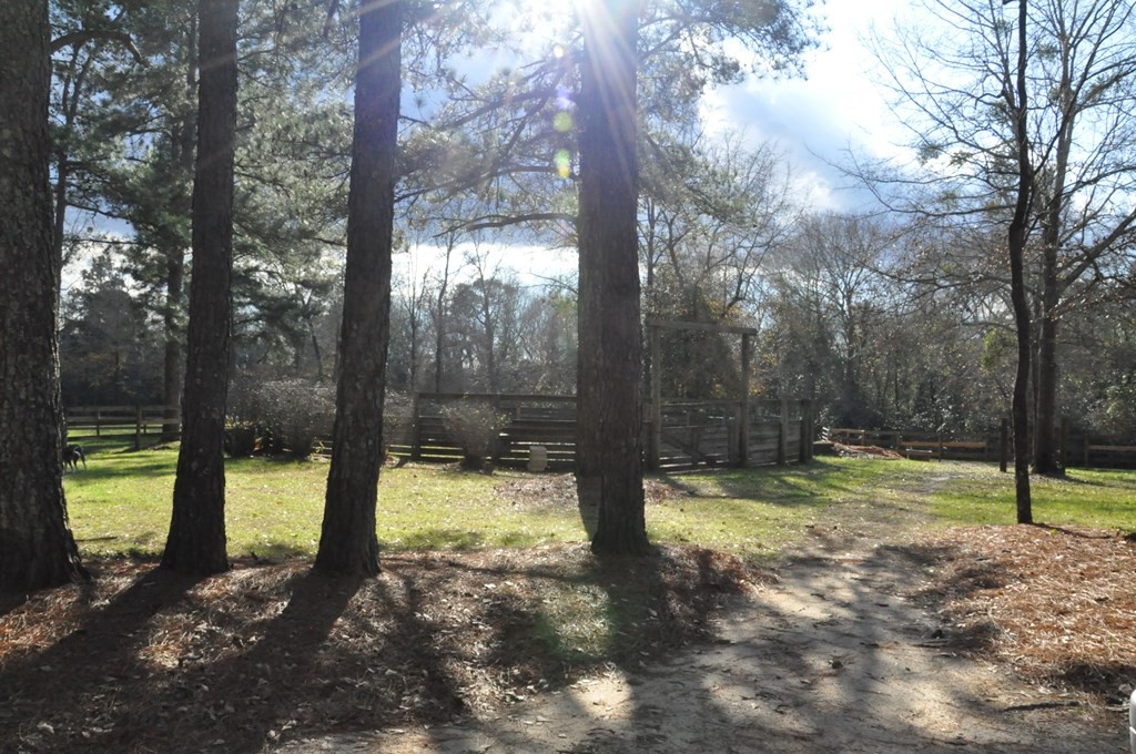 1201 Clayton Road Ridge Spring, SC 29129 - Photo 43 of 56