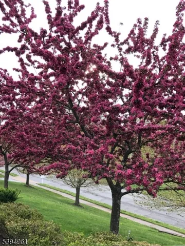 $1,150,500 | 11 Southwind Drive, Flanders, NJ 07836