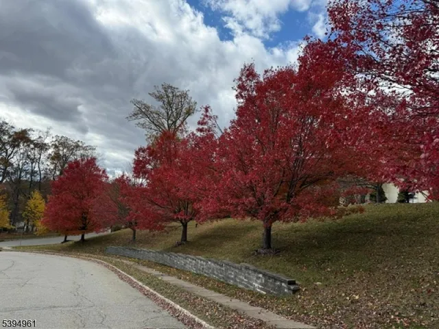 $1,150,500 | 11 Southwind Drive, Flanders, NJ 07836