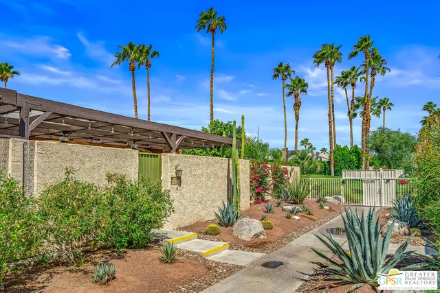 a view of a backyard with potted plants