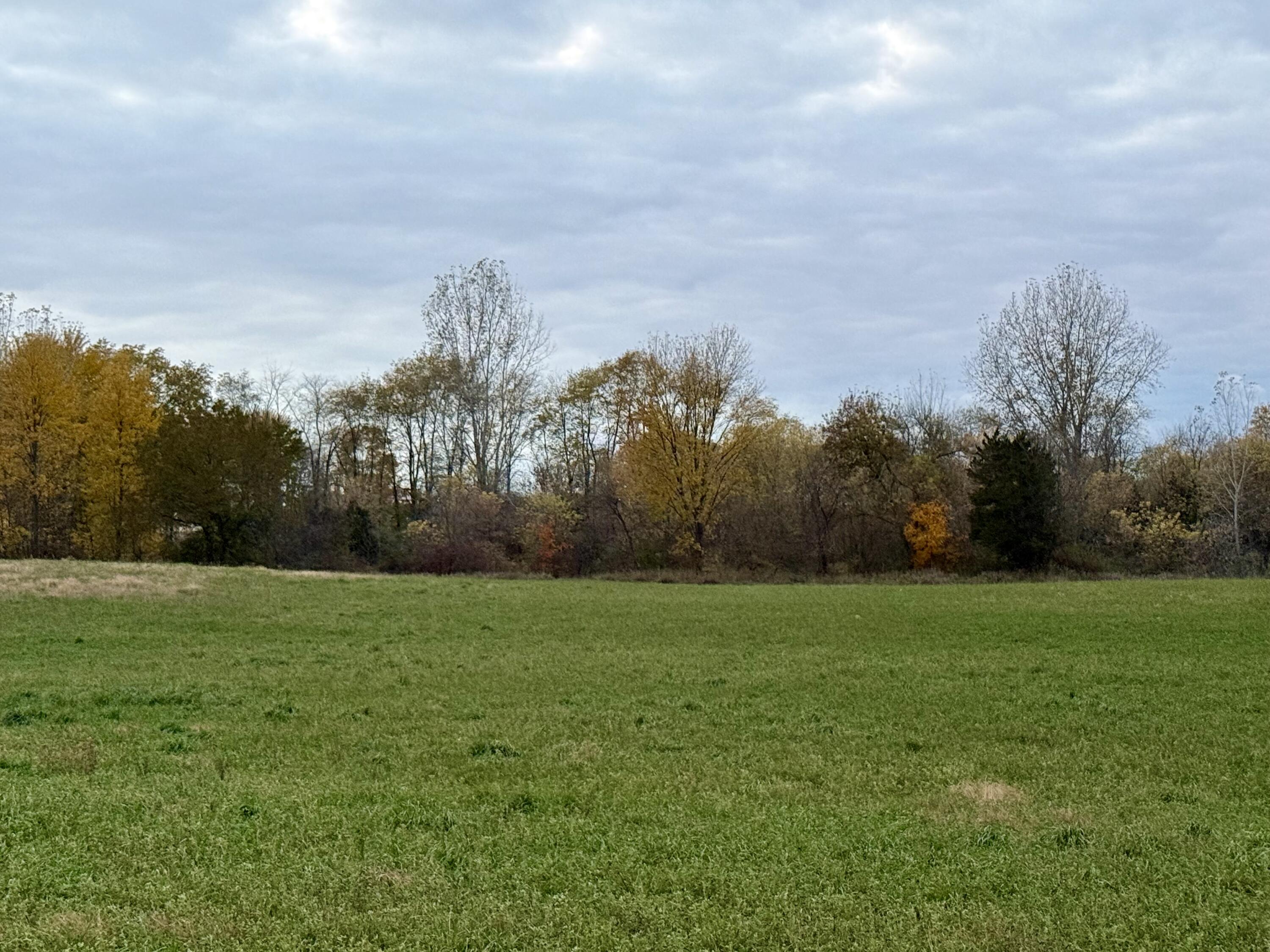 Parcel H 34th Street Zeeland, MI 49464 - Photo 12 of 39 IMG_3789