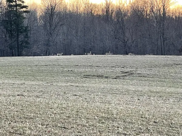 $199,900 | Parcel H 34th Street, Zeeland, MI 49464