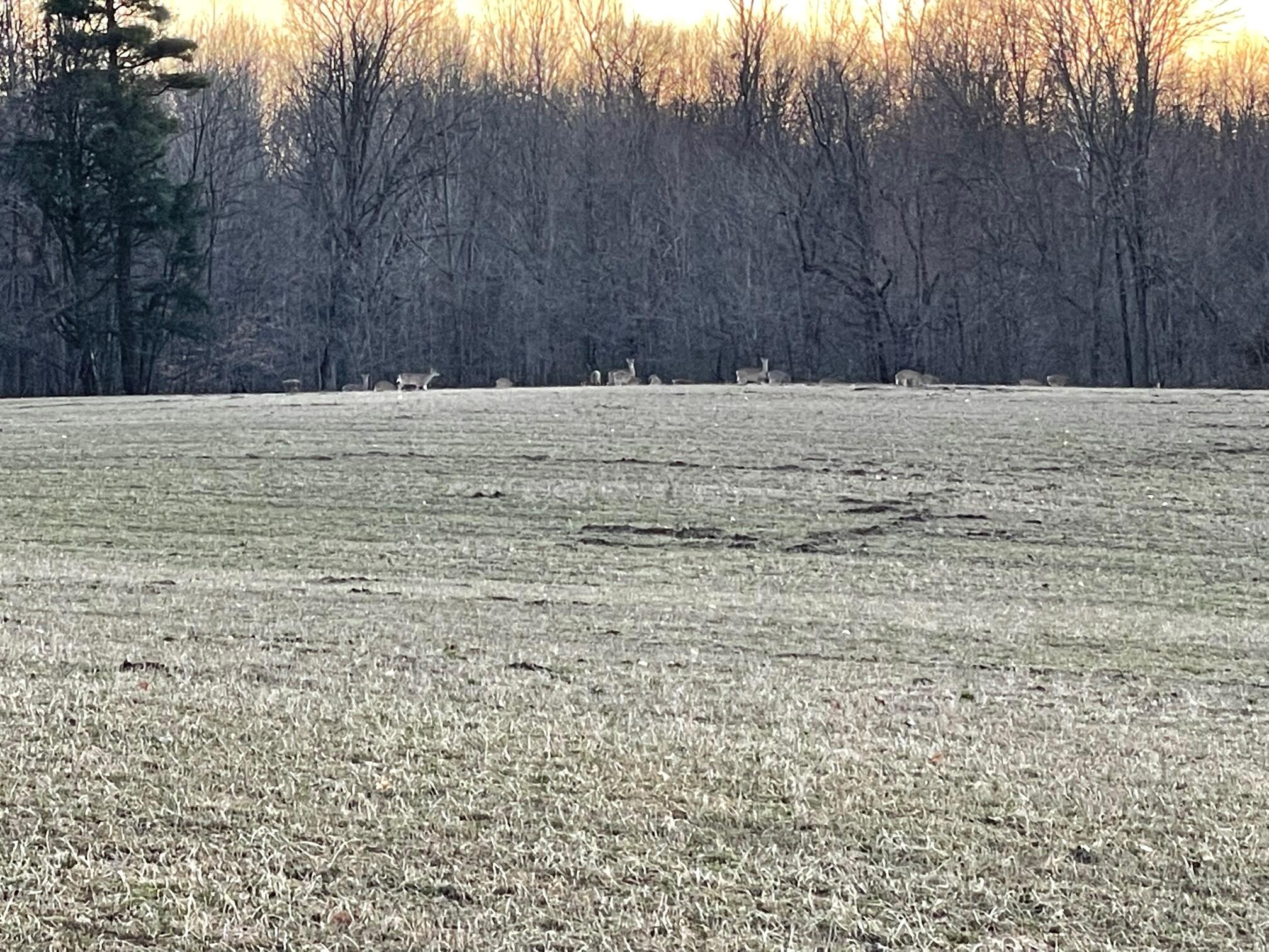 Parcel H 34th Street Zeeland, MI 49464 - Photo 9 of 39 IMG_3631