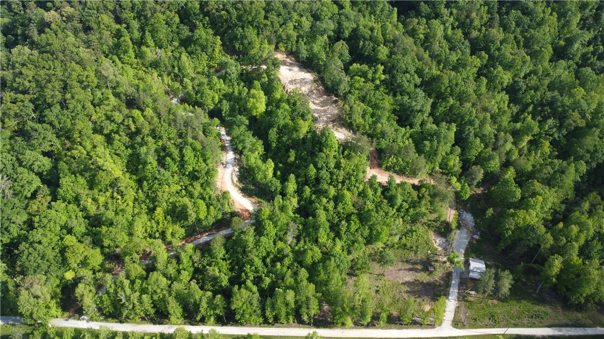 343 Butts Farm Road Westminster, SC 29693 - Photo 25 of 44 Gallery Image 25