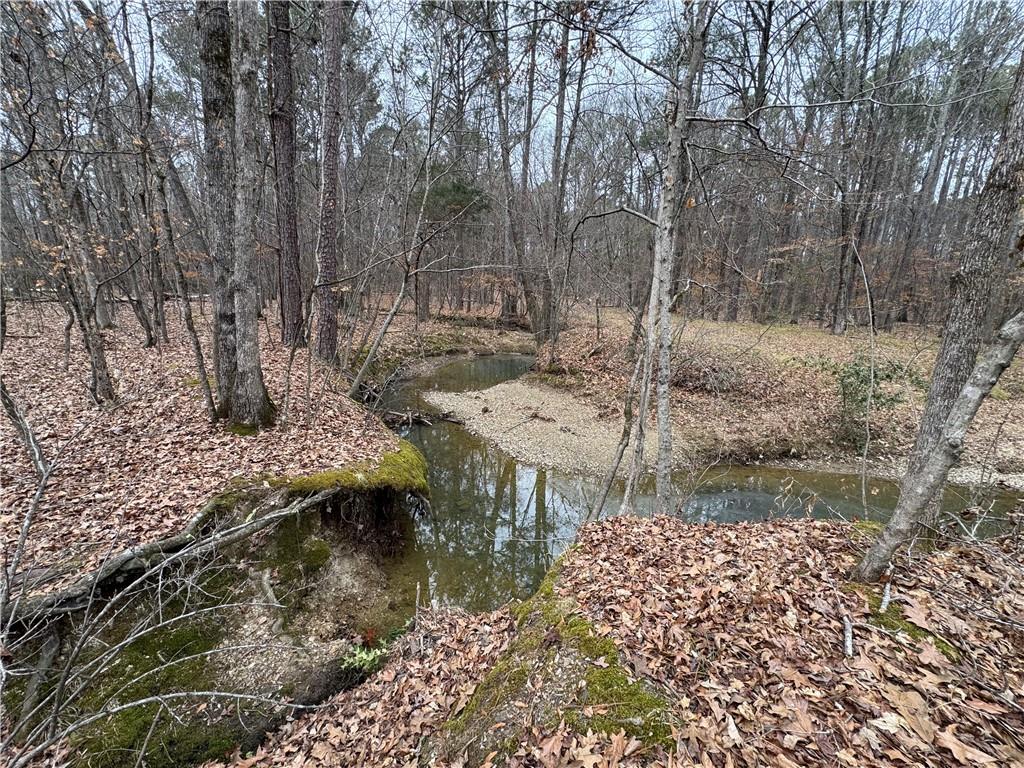 0 Brookvalley Court Southwest Rome, GA 30165 - Photo 2 of 7