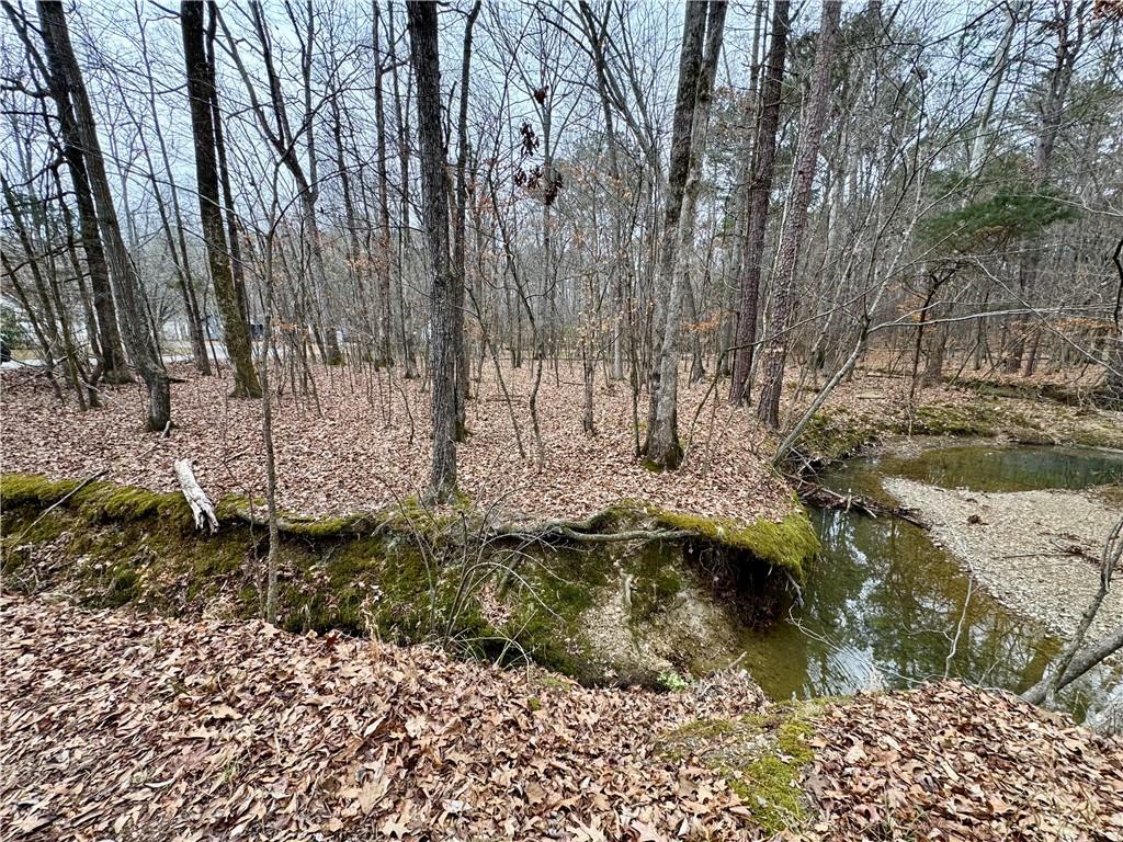 0 Brookvalley Court Southwest Rome, GA 30165 - Photo 4 of 7