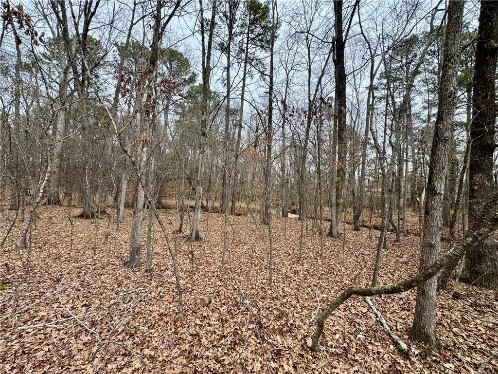 0 Brookvalley Court Southwest Rome, GA 30165 - Photo 6 of 7