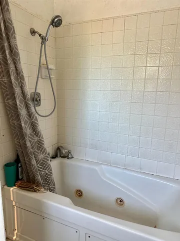 a bathroom with a bath tub and a shower