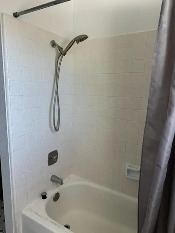 a bathroom with a bath tub and a shower