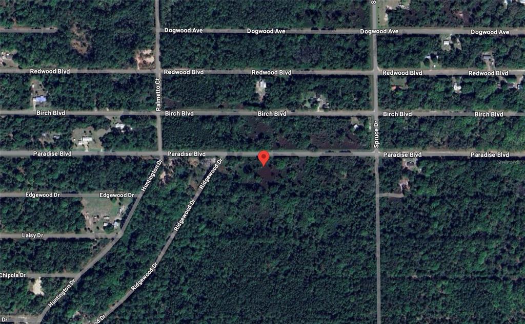 817 Paradise Boulevard Georgetown, FL 32139 - Photo 2 of 14 a backyard of a house with lots of green space