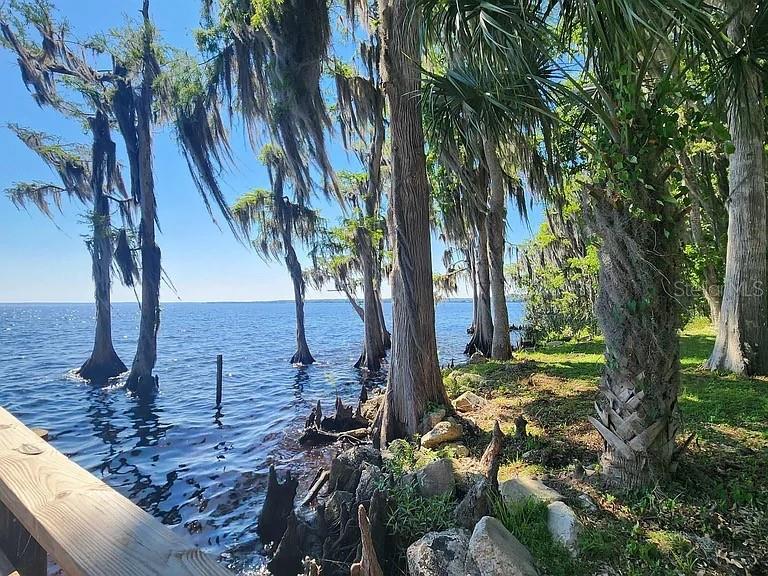 817 Paradise Boulevard Georgetown, FL 32139 - Photo 5 of 14 a view of backyard with green space