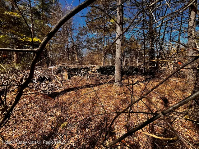 a view of outdoor space with lots of trees
