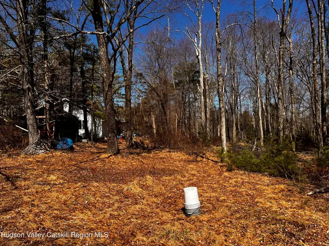 a view of a fire pit with large trees