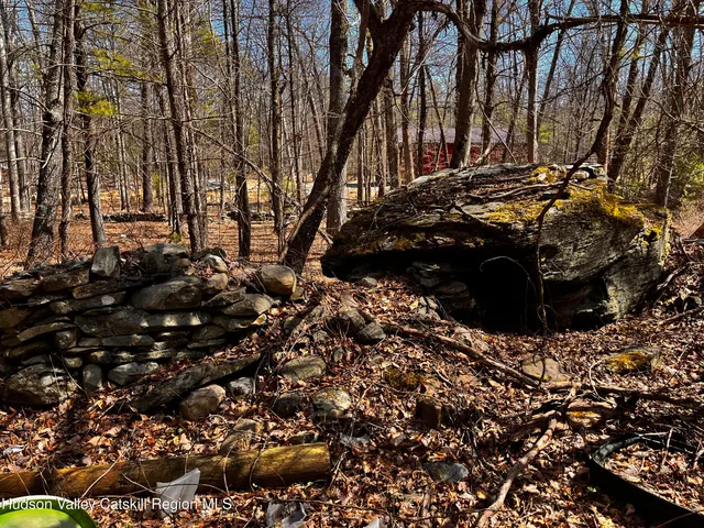 a view of outdoor space and a yard
