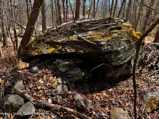 a backyard of a house
