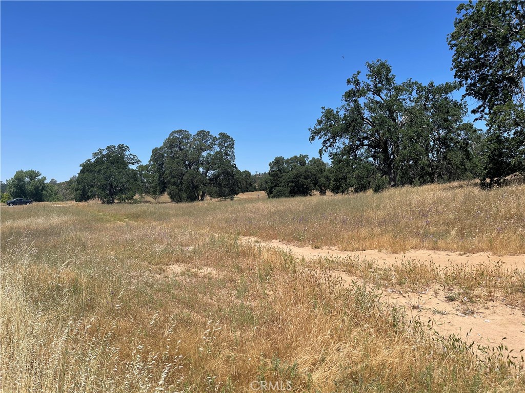 23 Rancho Ramon Court Coarsegold, CA 93614 - Photo 2 of 2