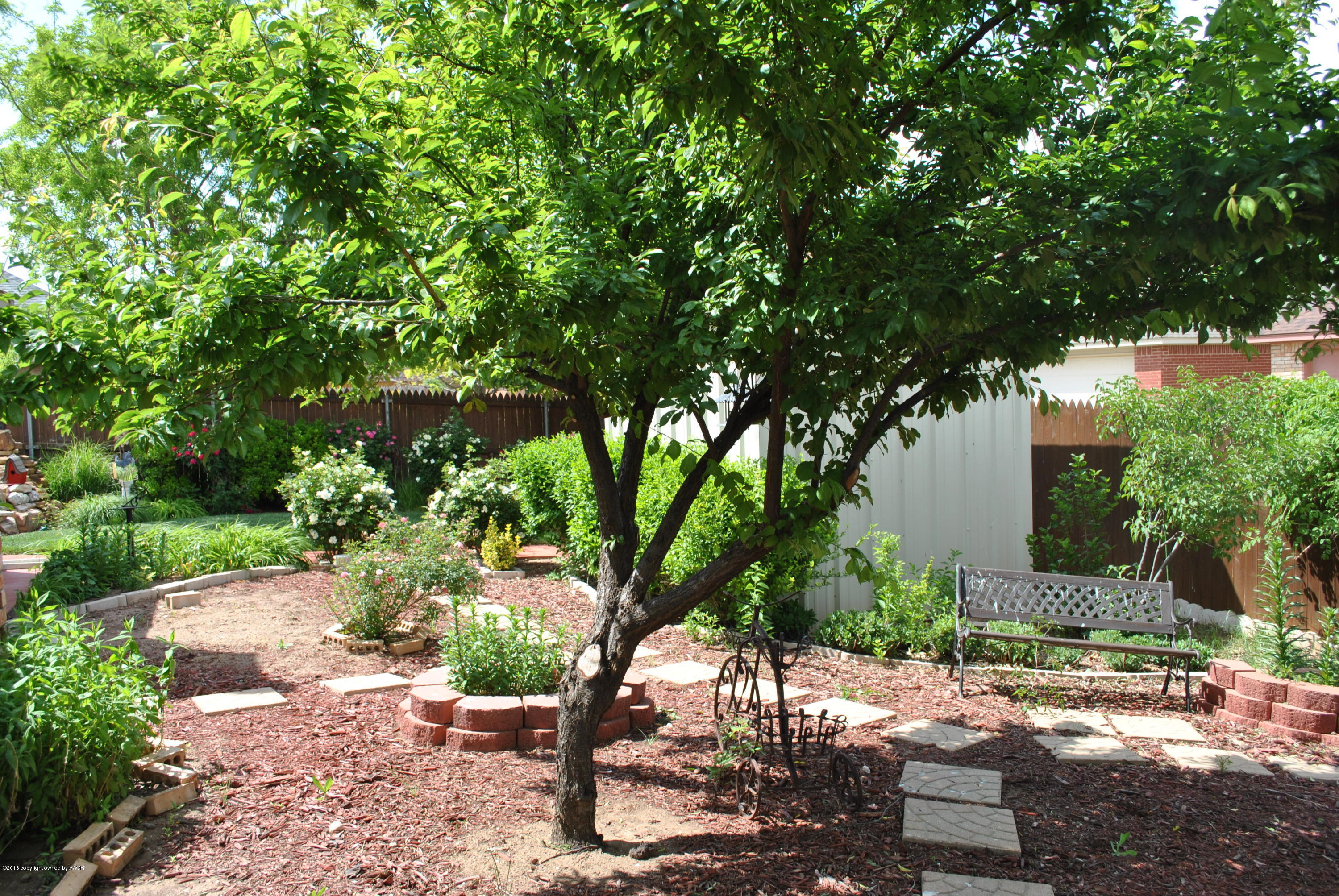 6700 Thunder Road Amarillo, TX 79119 - Photo 49 of 60 DSC_0305