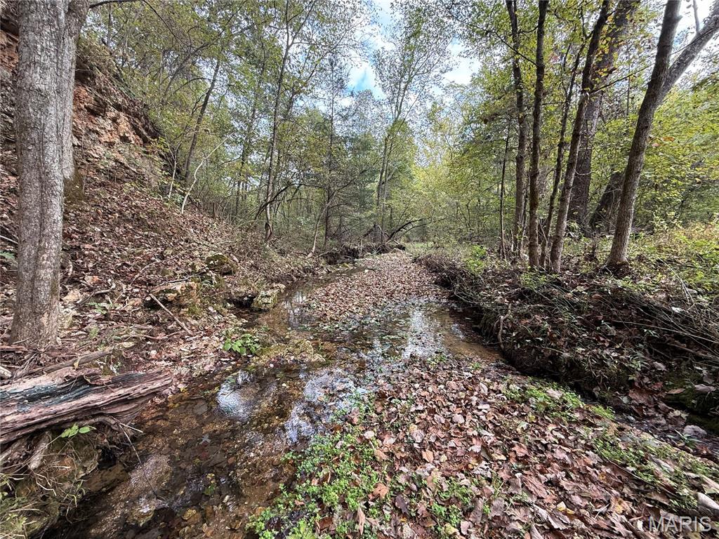 Long Spring Long Spring Road Steelville, MO 65565 - Photo 2 of 35