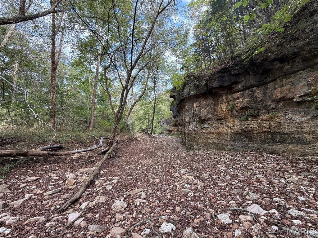 Long Spring Long Spring Road Steelville, MO 65565 - Photo 3 of 35