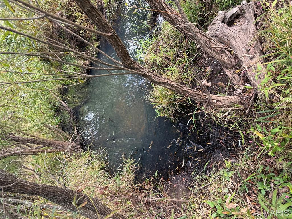 Long Spring Long Spring Road Steelville, MO 65565 - Photo 35 of 35