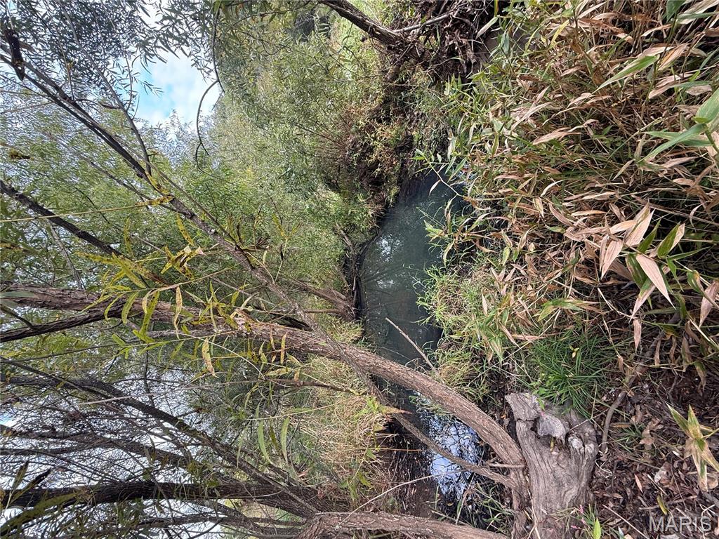 Long Spring Long Spring Road Steelville, MO 65565 - Photo 6 of 35