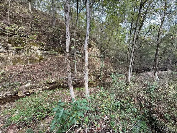 $2,360,800 | Long Spring Long Spring Road, Steelville, MO 65565