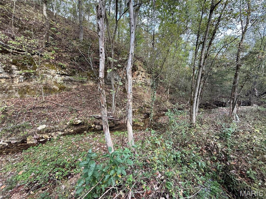 Long Spring Long Spring Road Steelville, MO 65565 - Photo 10 of 35