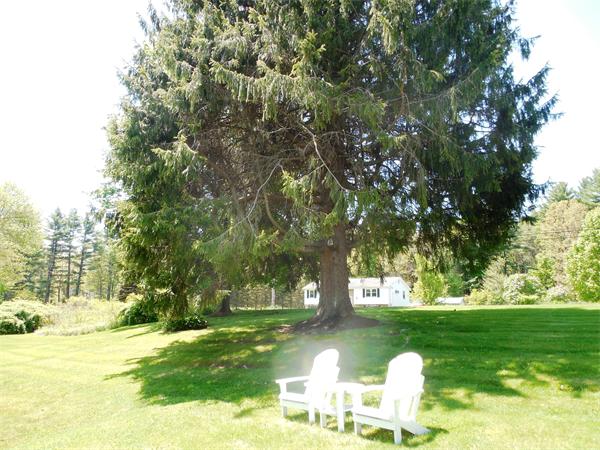 15 Greenwich Plains Road Ware, MA 01082 - Photo 12 of 26 Gallery Image 12