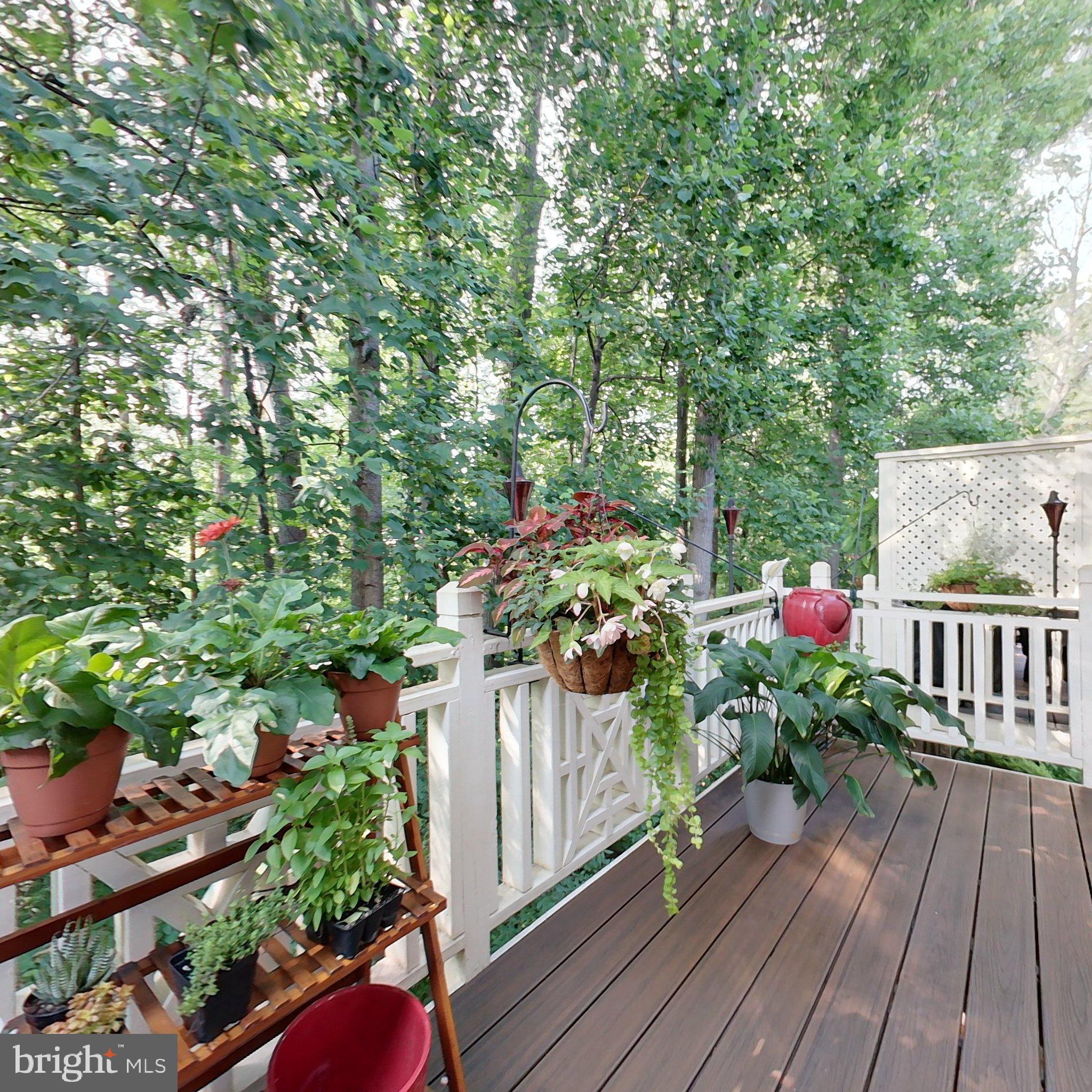 11498 Waterhaven Court Reston, VA 20190 - Photo 21 of 56