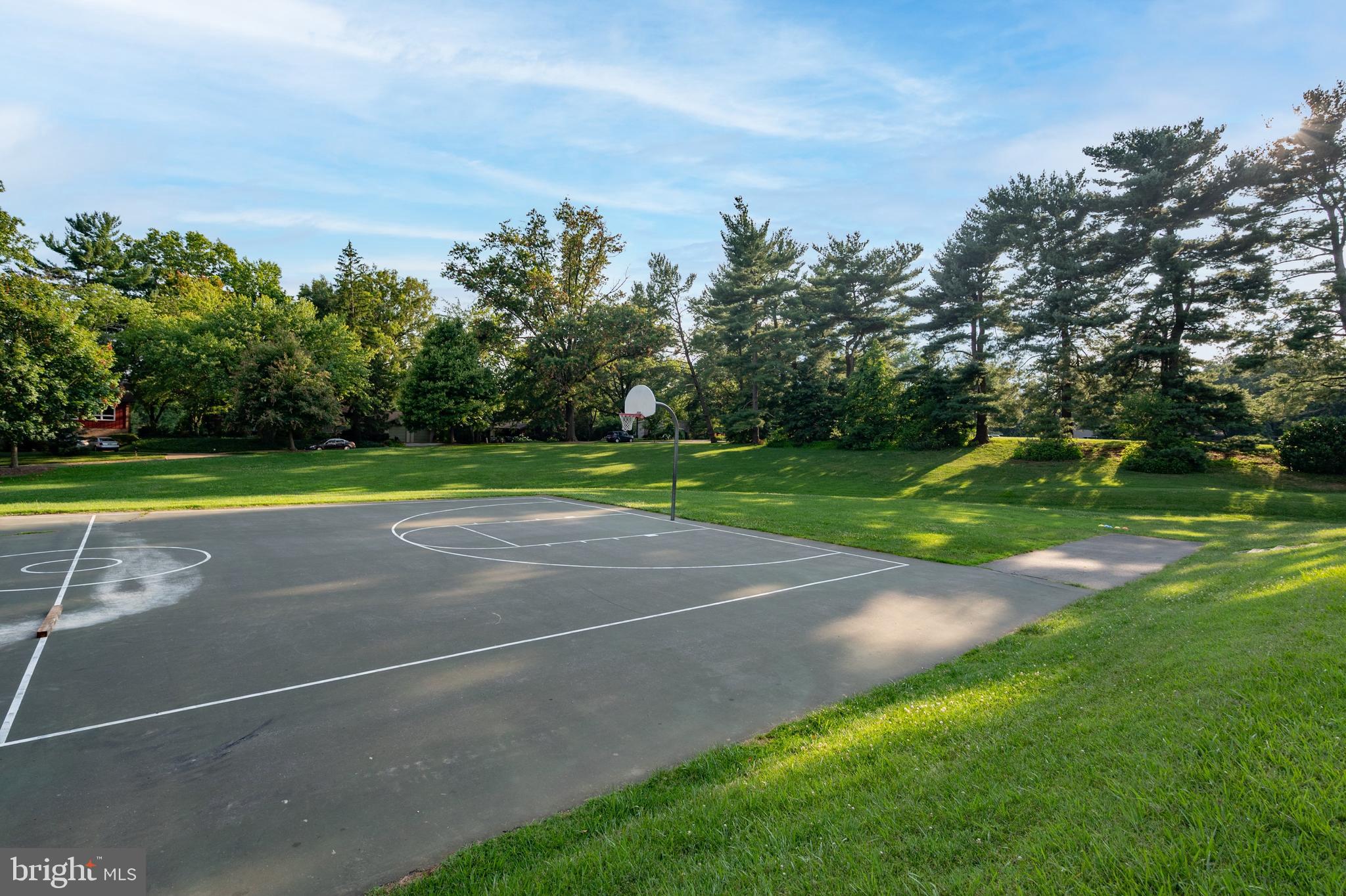 11498 Waterhaven Court Reston, VA 20190 - Photo 47 of 56