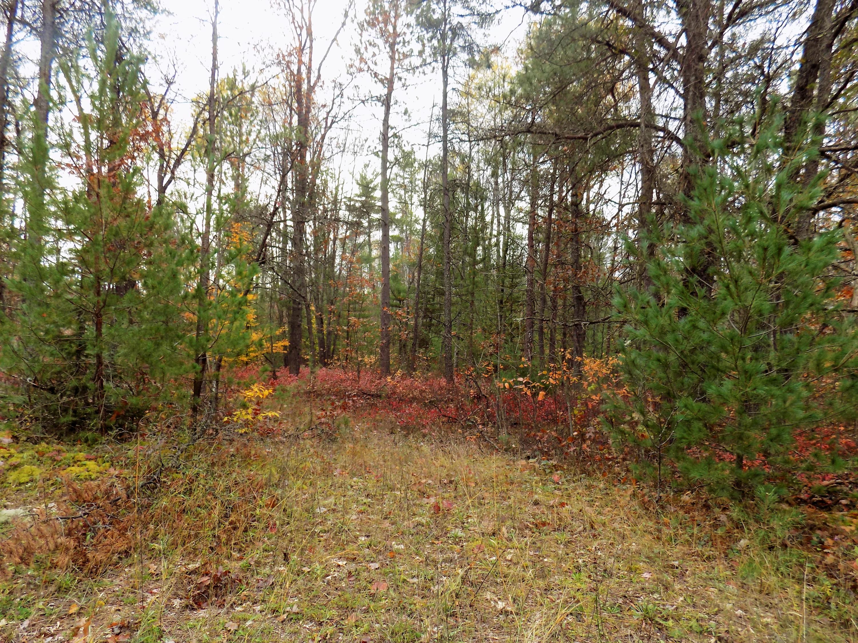 21336 Suitt Road Hillman, MI 49746 - Photo 14 of 16 Gallery Image 14