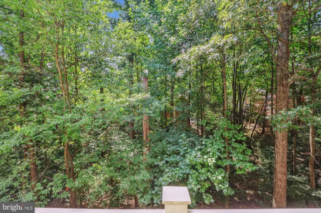 $450,000 | 1307 Windleaf Drive, Unit 139N, Reston, VA 20194