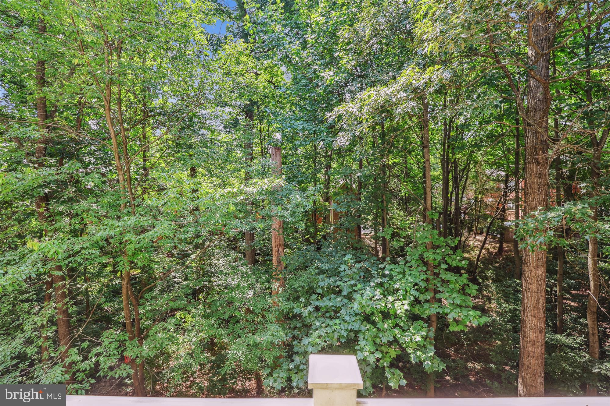 1307 Windleaf Drive, Unit 139N Reston, VA 20194 - Photo 22 of 38 a view of a forest from balcony